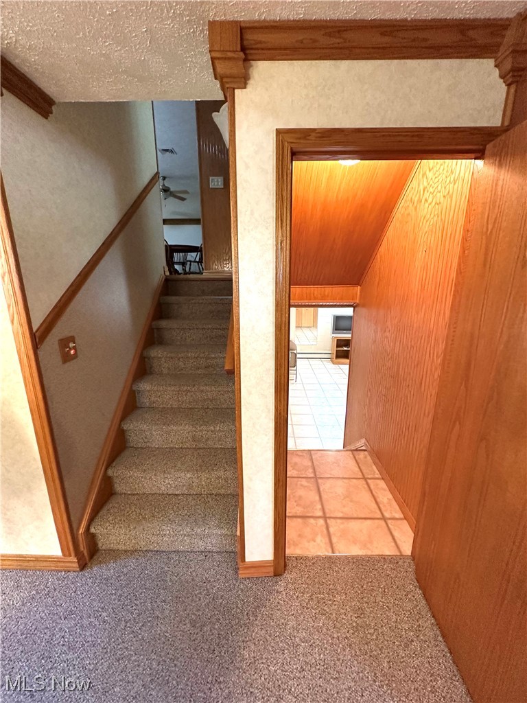 1684 Morris Street Mineral Ridge, OH 44440 - Photo 33 of 50 Stairs featuring carpet flooring, ceiling fan, and a textured ceiling