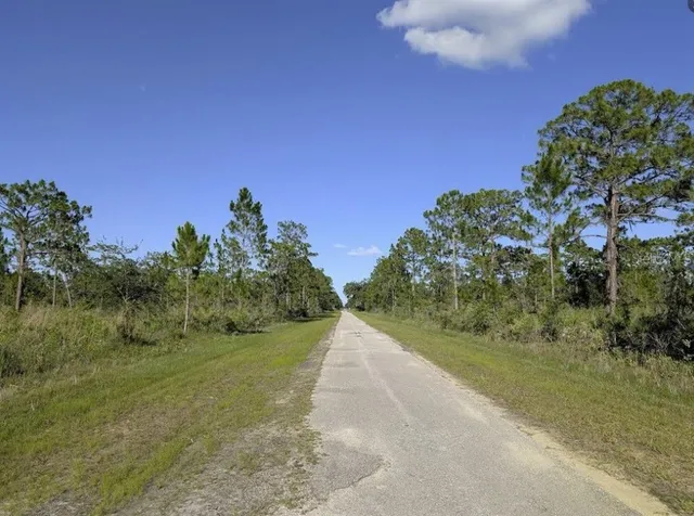 a view of a road with a yard