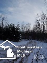 2860 Consear Road Lambertville, MI 48144 - Photo 17 of 17 1017446-16.JPG