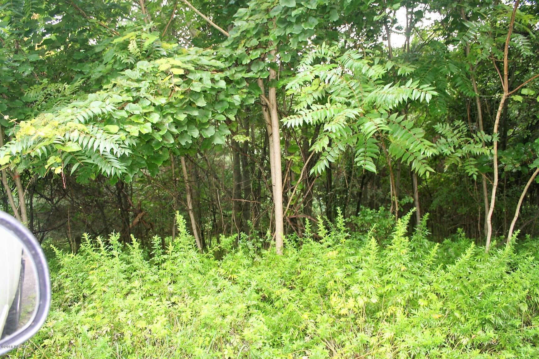 0 County Line Road Muncy, PA 17756 - Photo 2 of 2 IMG_2338