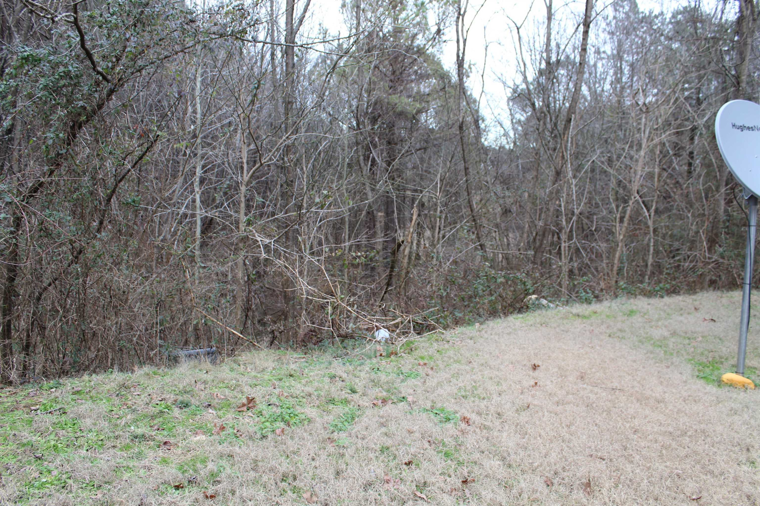 274 Mullins Cemetery Road Lexington, TN 38351 - Photo 14 of 16 Photo 14