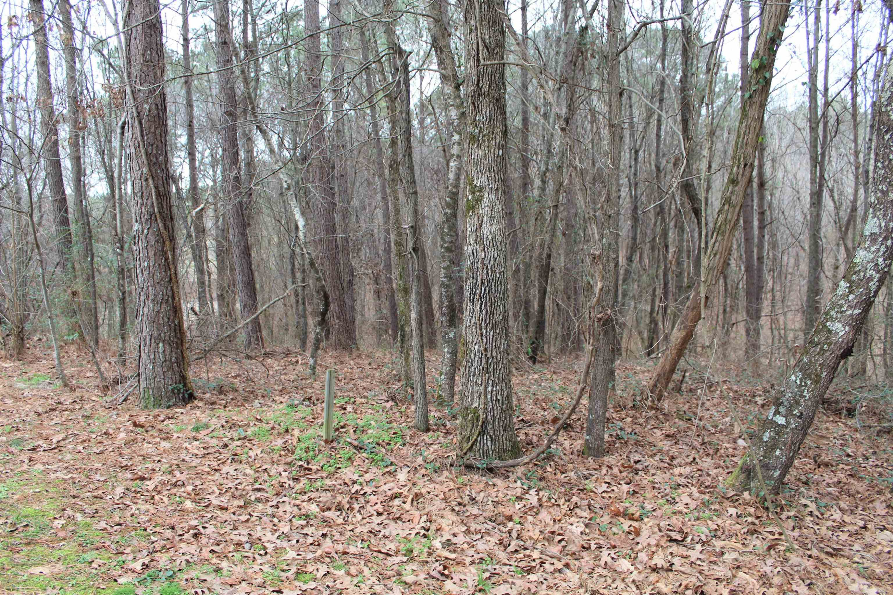 274 Mullins Cemetery Road Lexington, TN 38351 - Photo 15 of 16 Photo 15