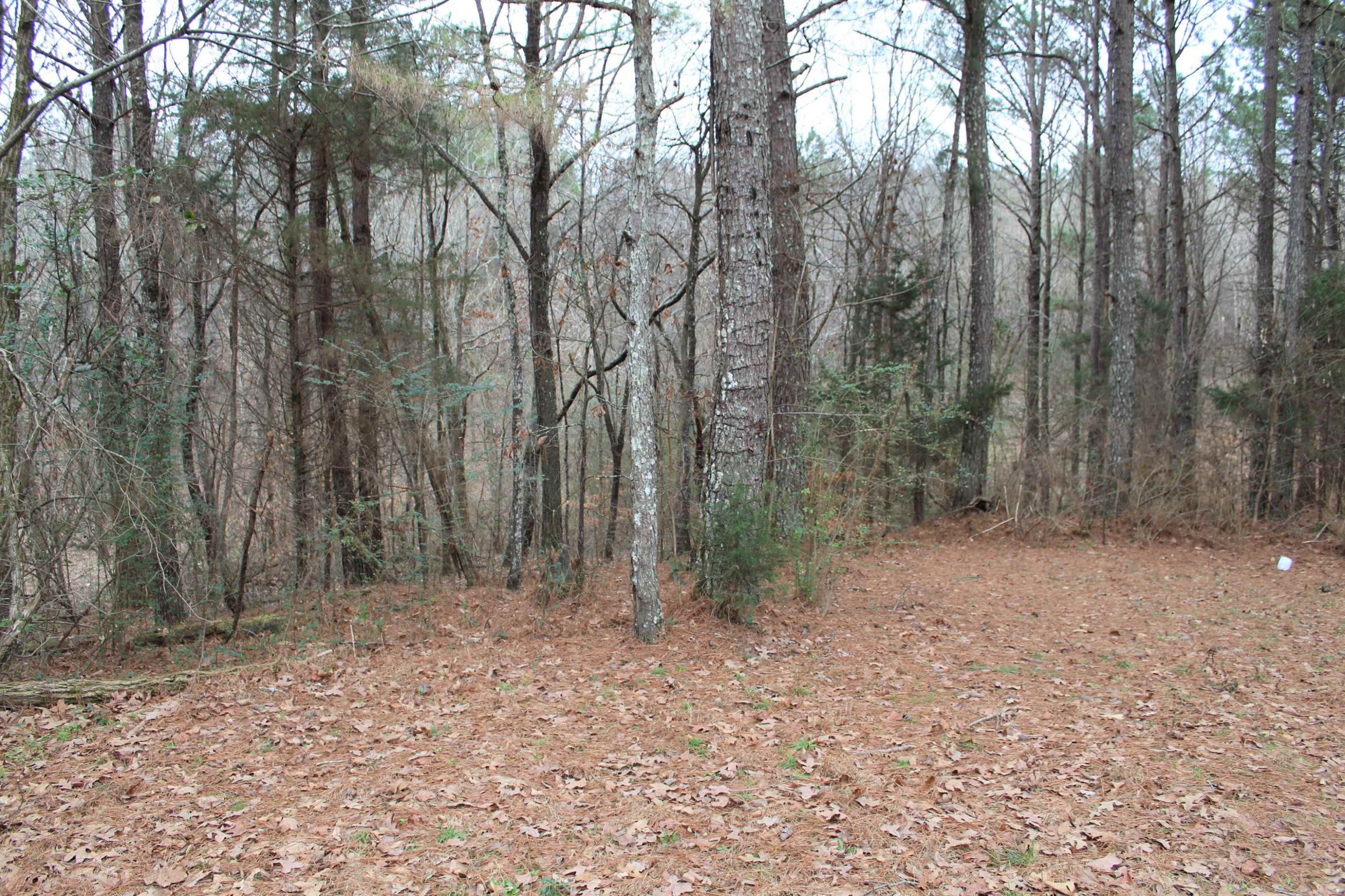 274 Mullins Cemetery Road Lexington, TN 38351 - Photo 16 of 16 Photo 16