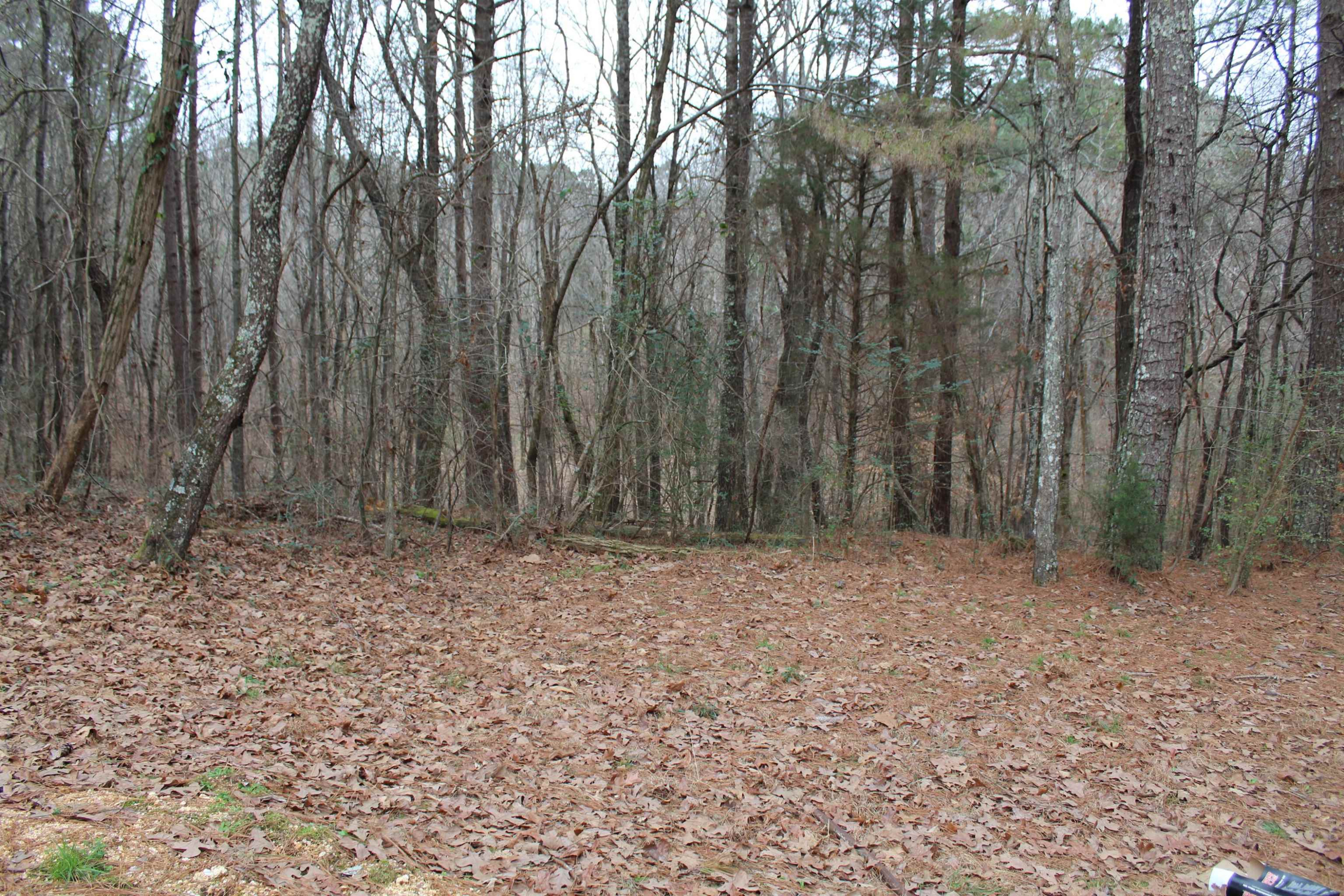 274 Mullins Cemetery Road Lexington, TN 38351 - Photo 5 of 16 Photo 5