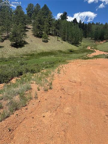634 Valley Road Divide, CO 80814 - Photo 4 of 5 View of local wilderness