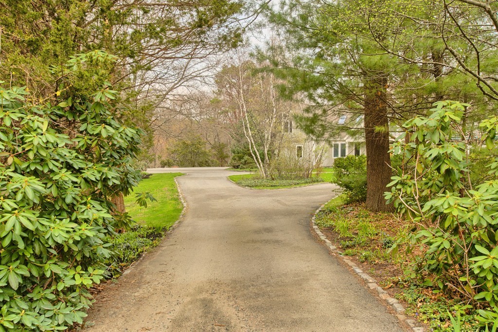 37 Grapevine Road Wenham, MA 01984 - Photo 3 of 30 a view of yard with green space