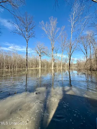 $580,000 | Abraham Road, Silver City, MS 39166