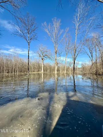 $580,000 | Abraham Road, Silver City, MS 39166