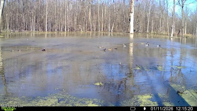 $580,000 | Abraham Road, Silver City, MS 39166