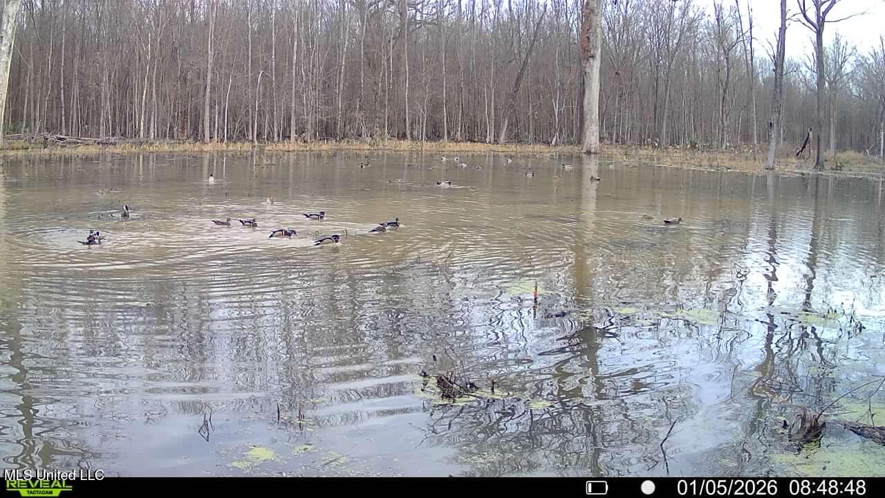 Abraham Road Silver City, MS 39166 - Photo 12 of 19 IMG_8149