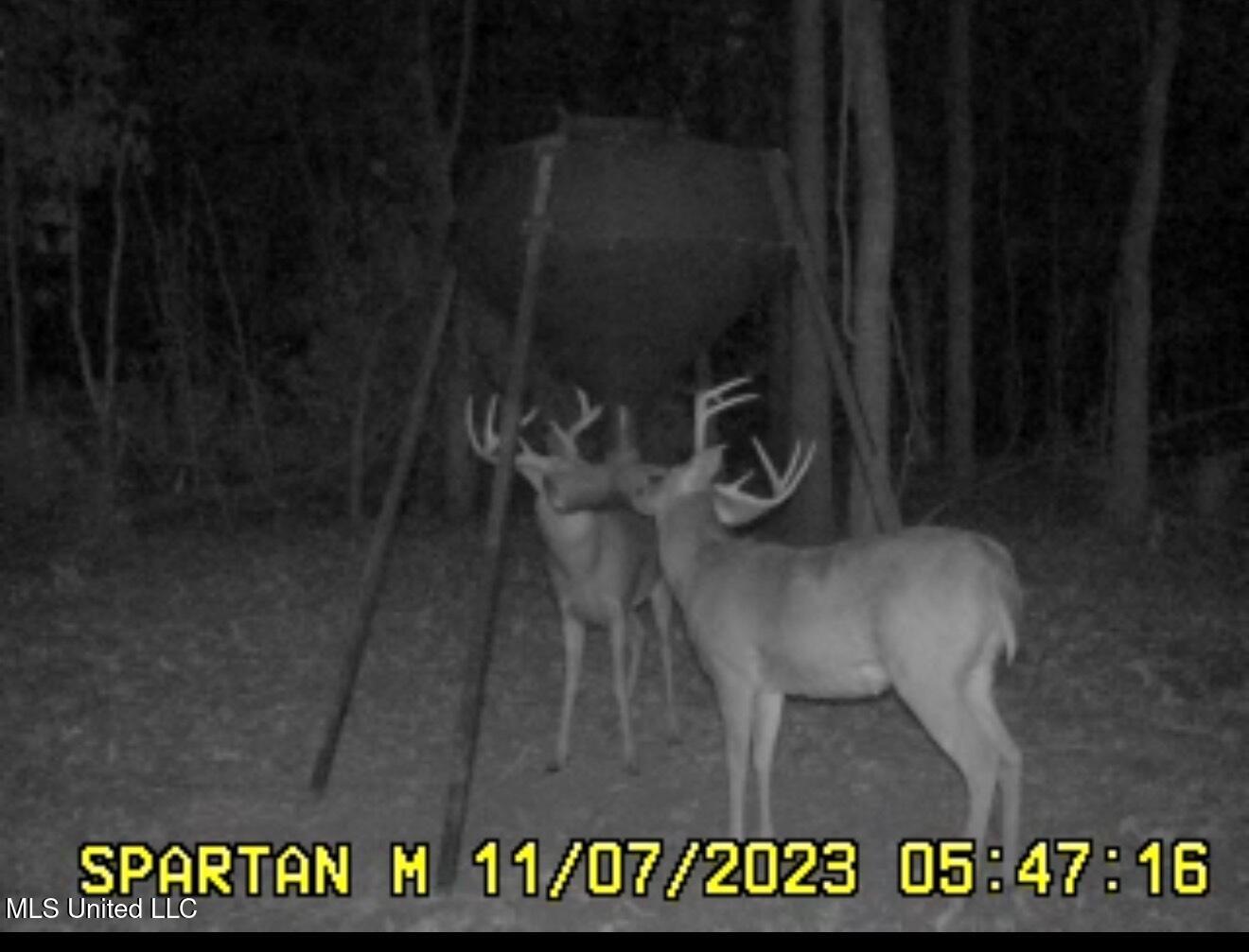 Abraham Road Silver City, MS 39166 - Photo 13 of 19 IMG_8148