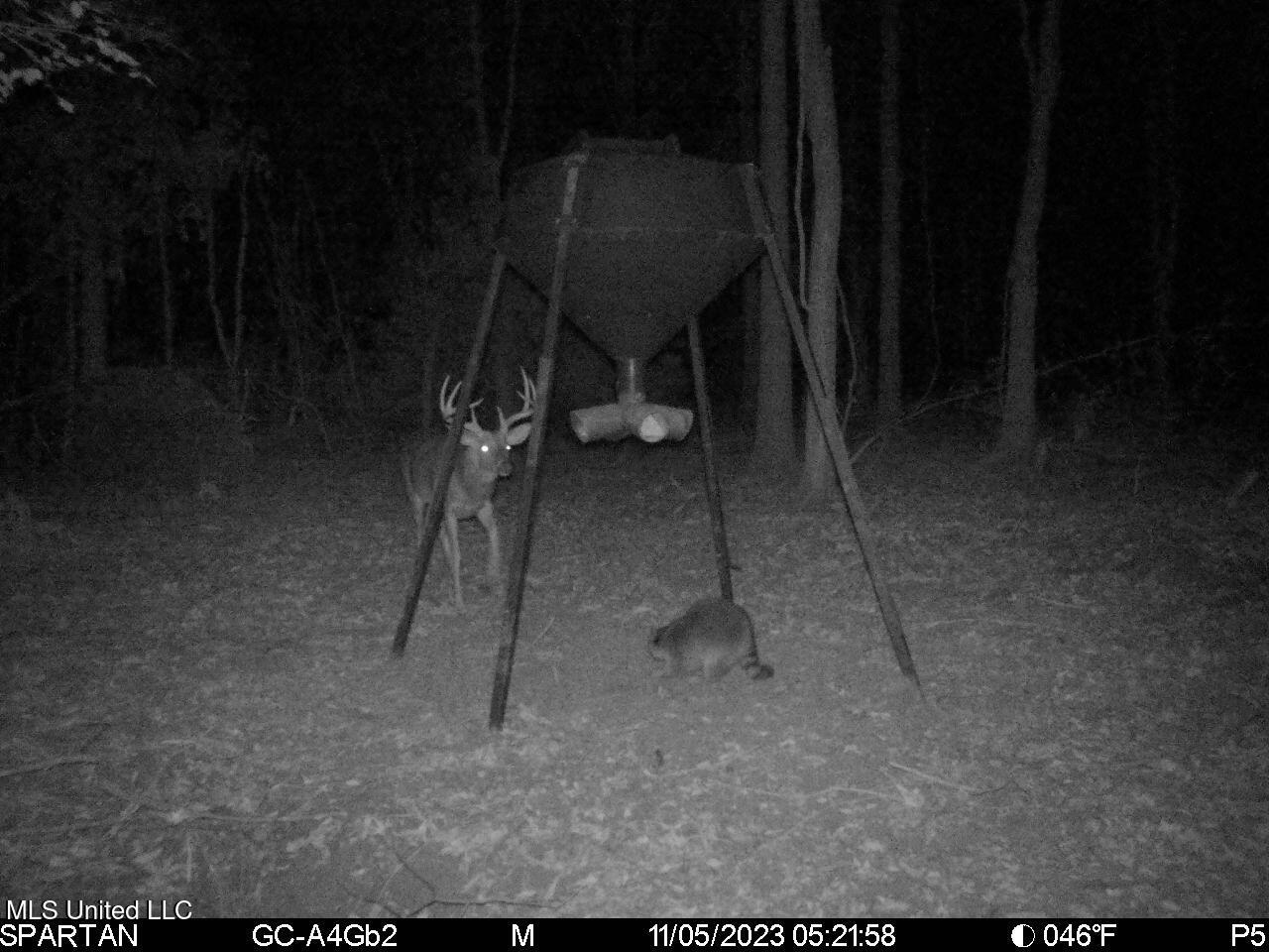 Abraham Road Silver City, MS 39166 - Photo 17 of 19 IMG_1677