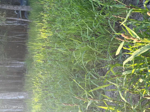 $580,000 | Abraham Road, Silver City, MS 39166