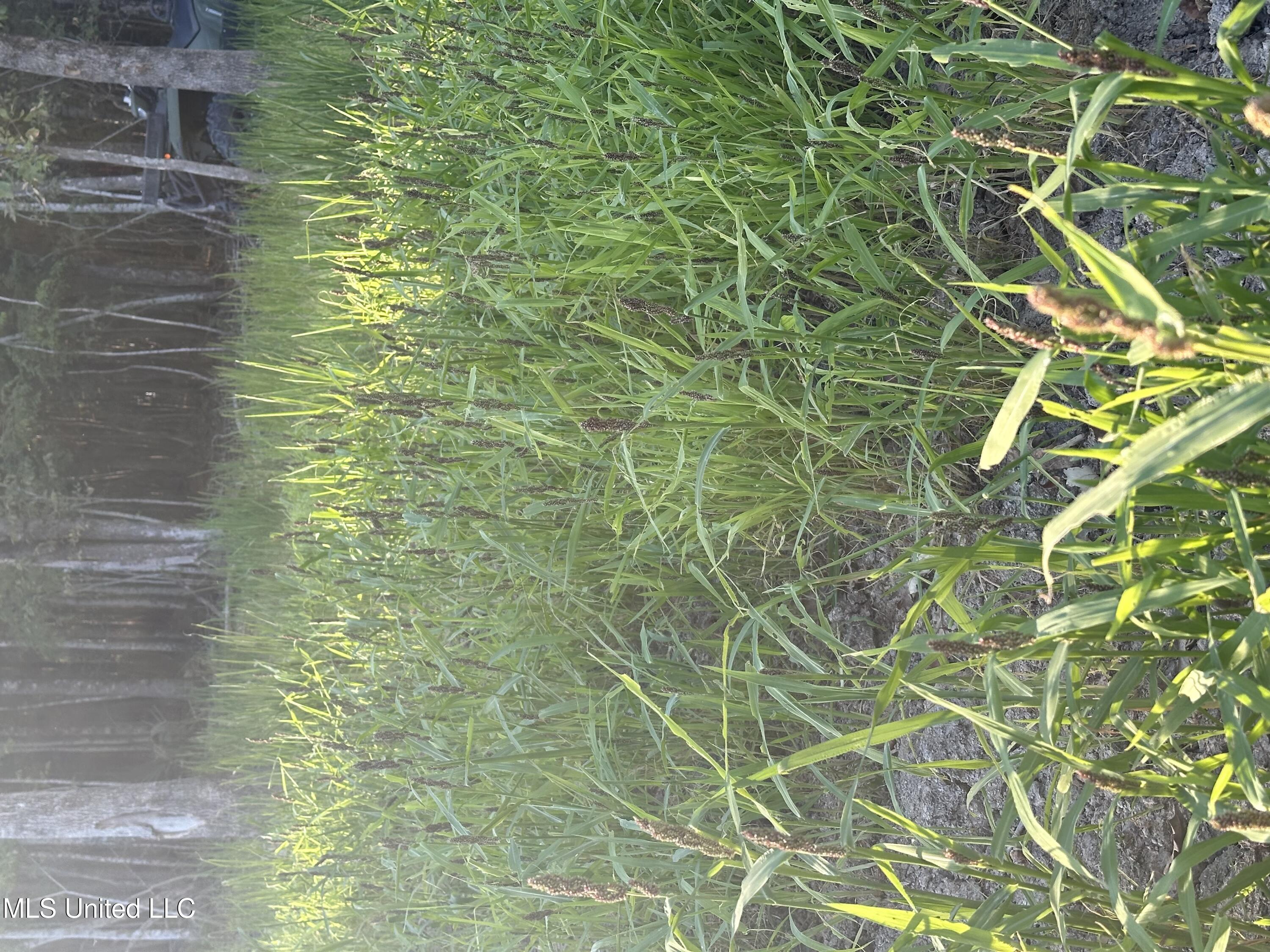 Abraham Road Silver City, MS 39166 - Photo 18 of 19 IMG_6443