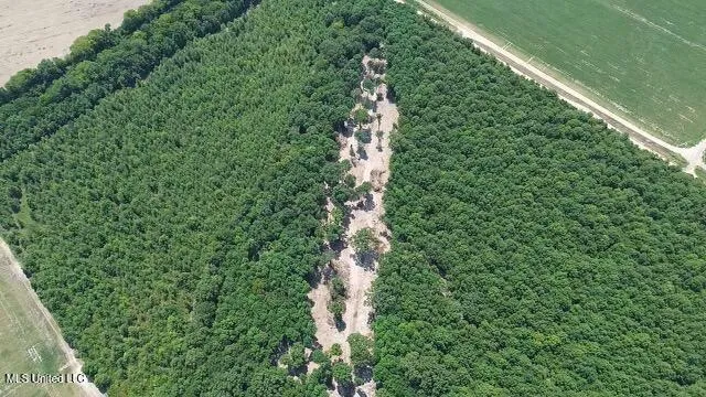 $580,000 | Abraham Road, Silver City, MS 39166