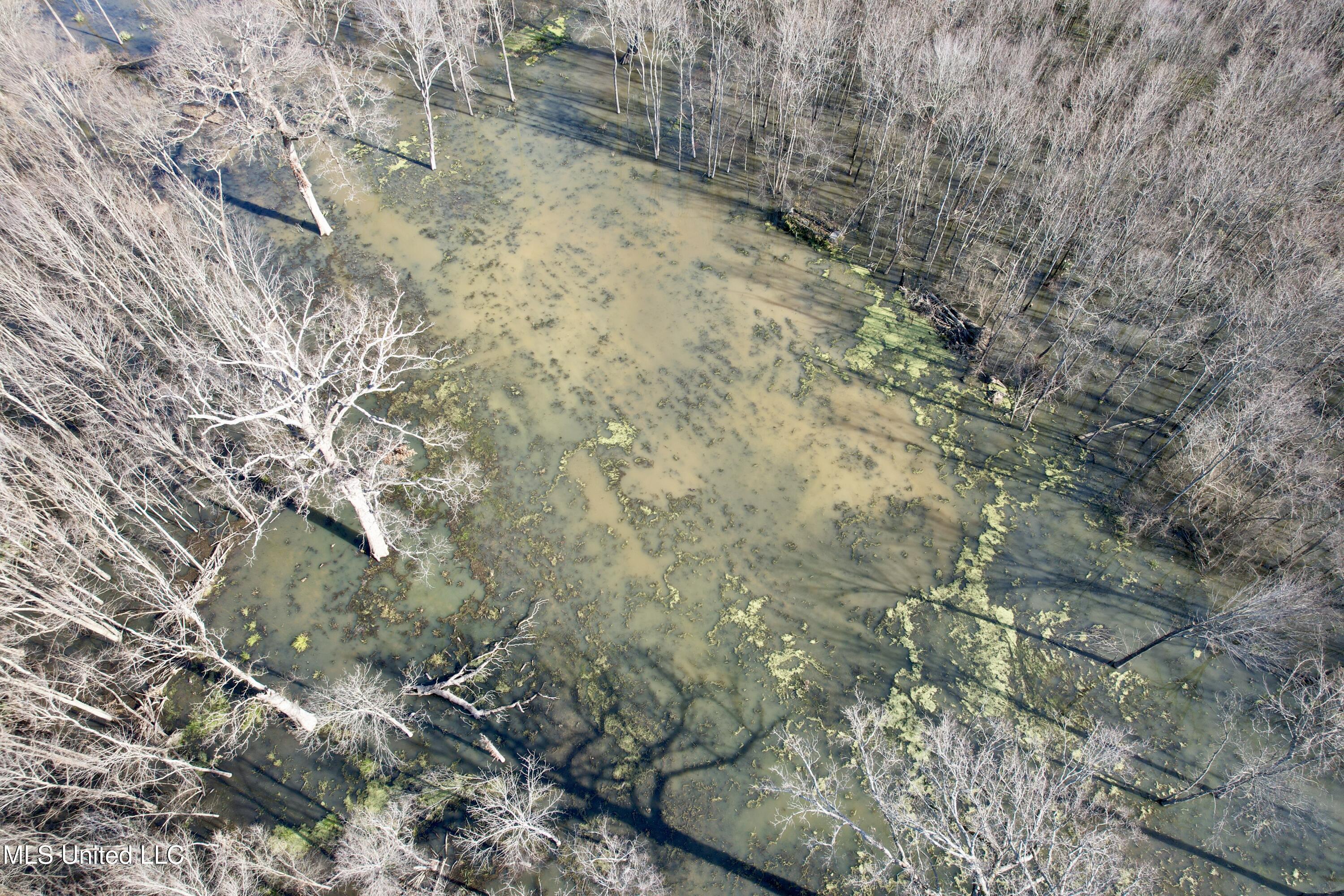 Abraham Road Silver City, MS 39166 - Photo 2 of 19 dji_fly_20260112_132208_288_176824587114