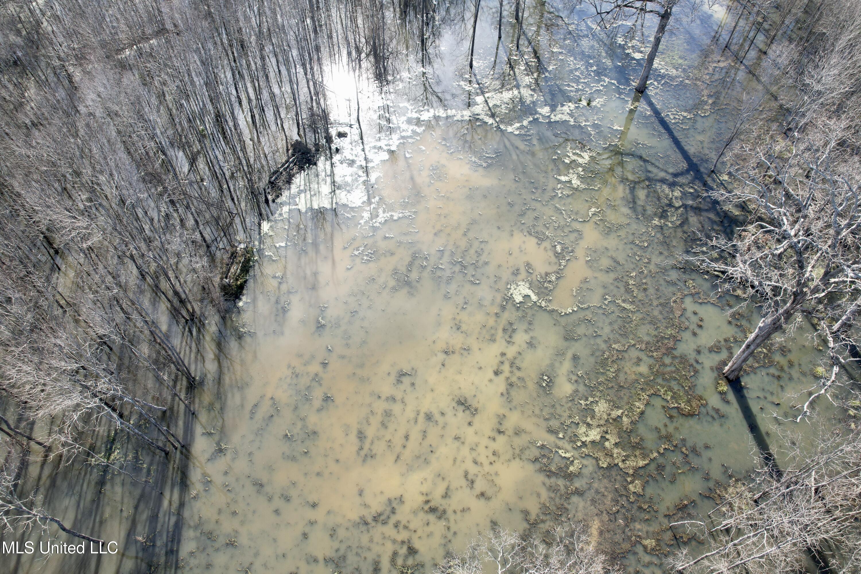 Abraham Road Silver City, MS 39166 - Photo 3 of 19 dji_fly_20260112_132146_287_176824586497