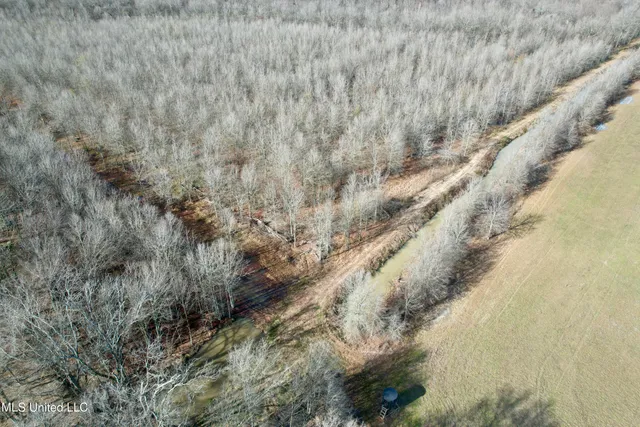 $580,000 | Abraham Road, Silver City, MS 39166