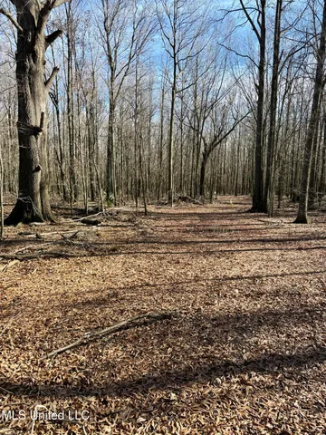 $580,000 | Abraham Road, Silver City, MS 39166