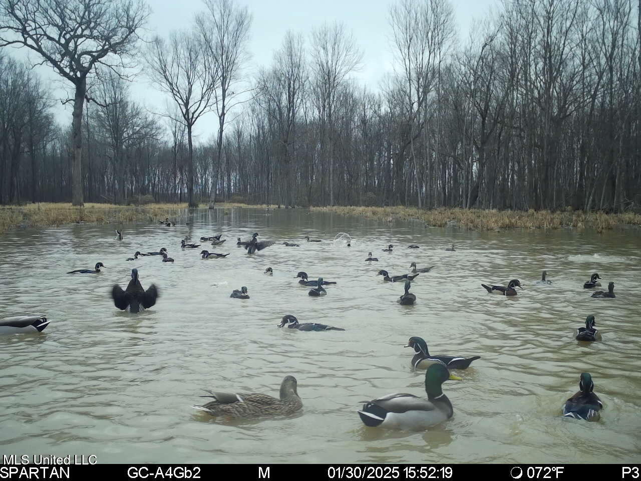 Abraham Road Silver City, MS 39166 - Photo 9 of 19 IMG_8145