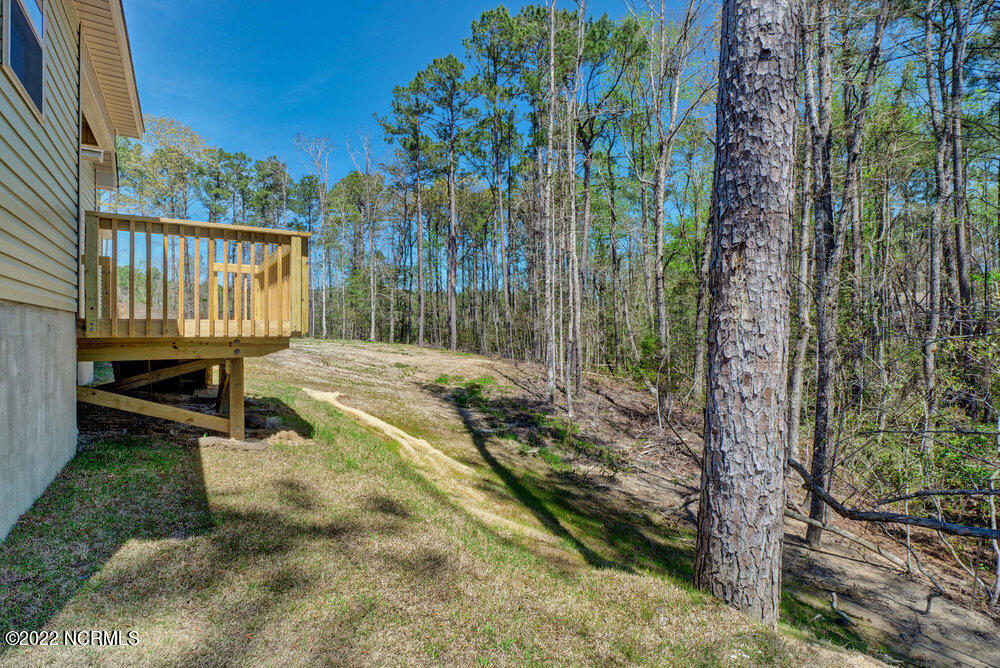 144 Forest Ridge Trail Stella, NC 28582 - Photo 30 of 31 031_p8088715_16_17_18_19_20_21