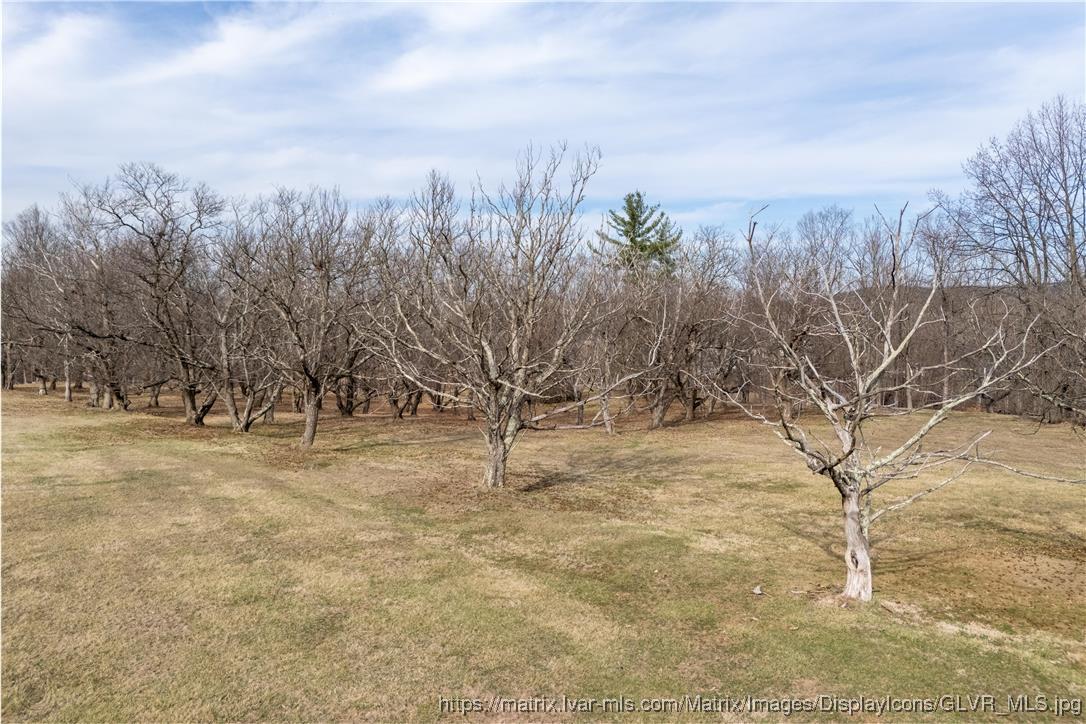 4217 Mill Road Coopersburg, PA 18036 - Photo 68 of 75 Gallery Image 68
