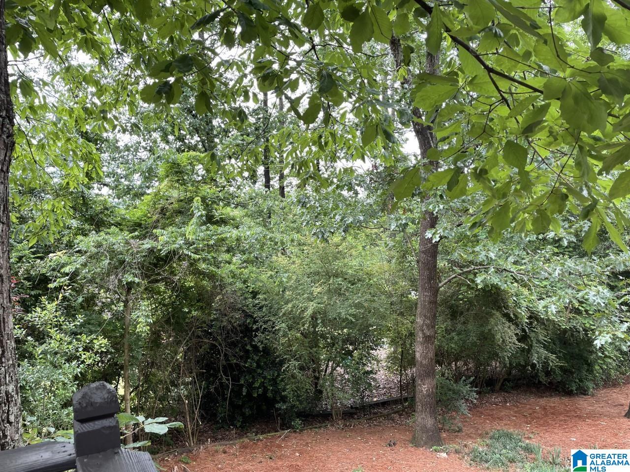 2814 Overton Road Birmingham, AL 35223 - Photo 52 of 53