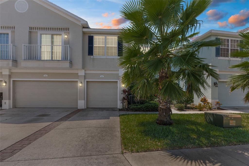 8546 Great Egret Trace New Port Richey, FL 34653 - Photo 1 of 21 a view of a house with a yard and palm trees