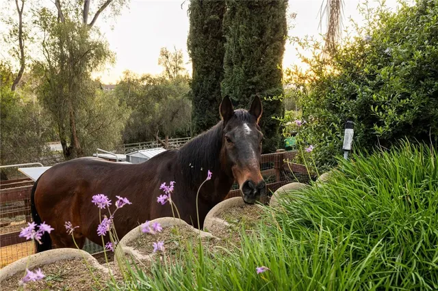 a view of an outdoor space with seating area
