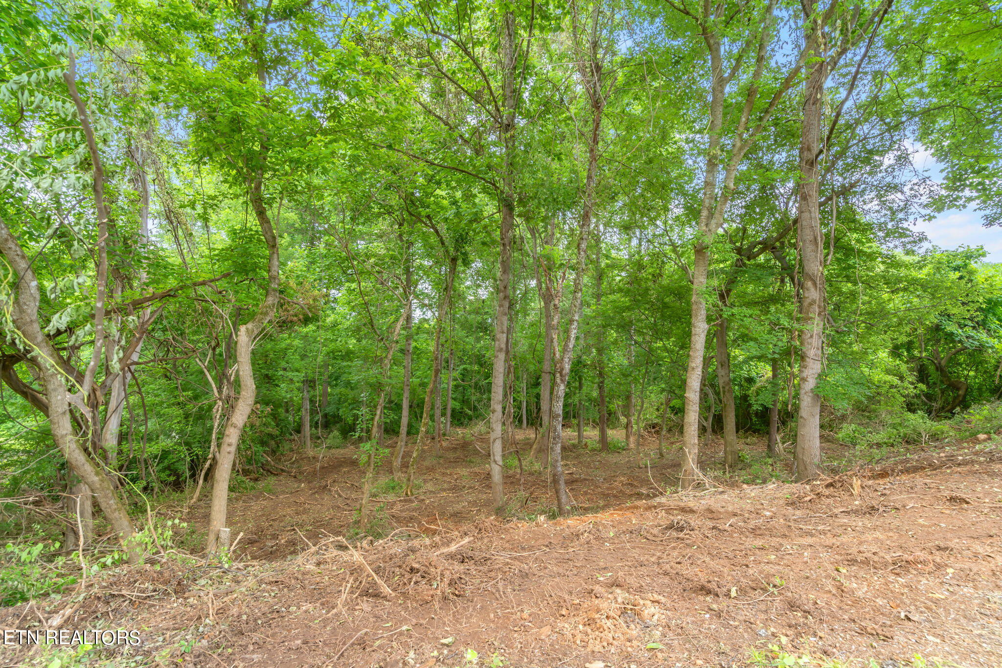 Lot#0051 Orchard Knob Road Clinton, TN 37716 - Photo 4 of 14 41-web-or-mls-Lot 51 Orchard Knob (2)