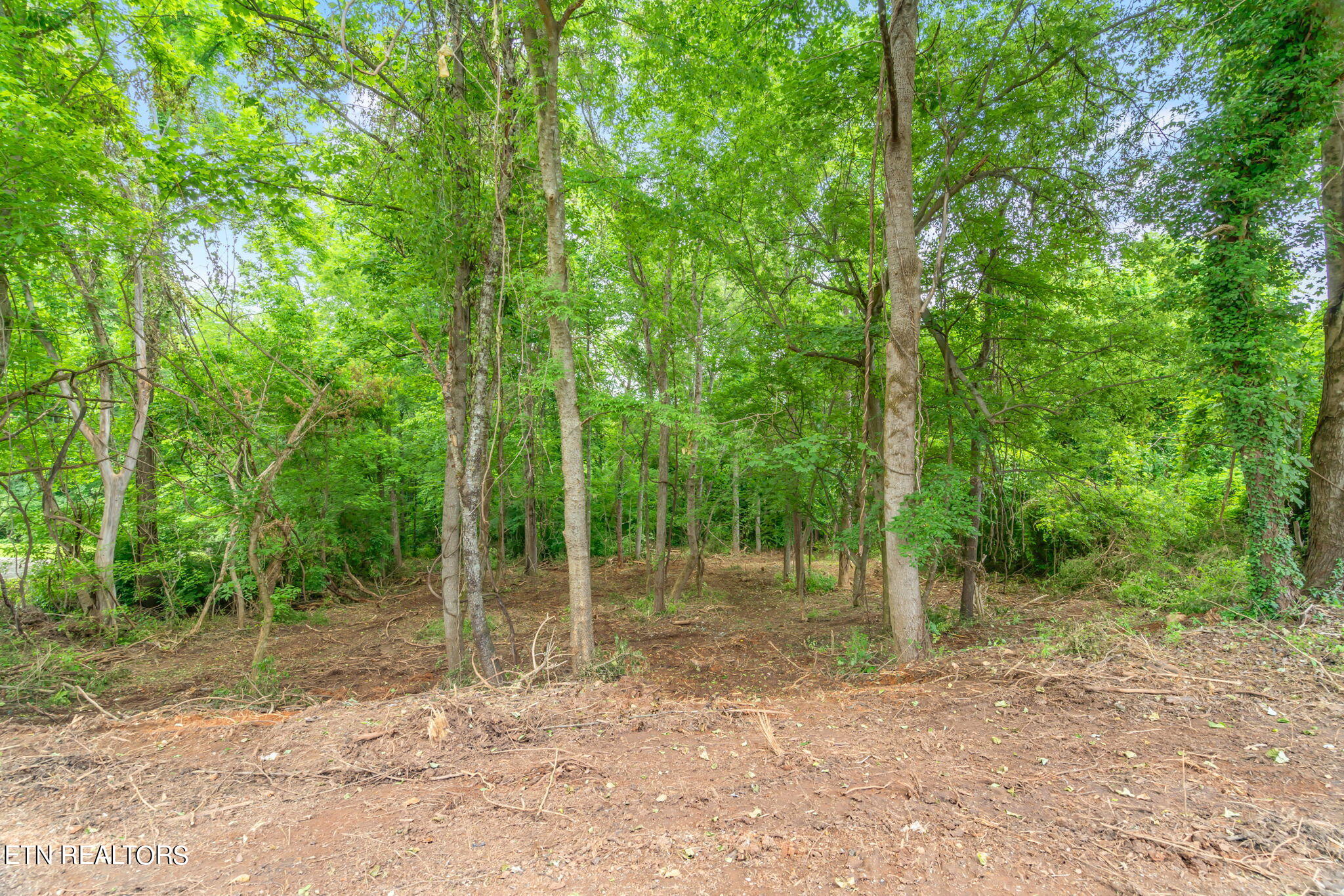 Lot#0051 Orchard Knob Road Clinton, TN 37716 - Photo 5 of 14 2-web-or-mls-Lot 51 Orchard Knob-3