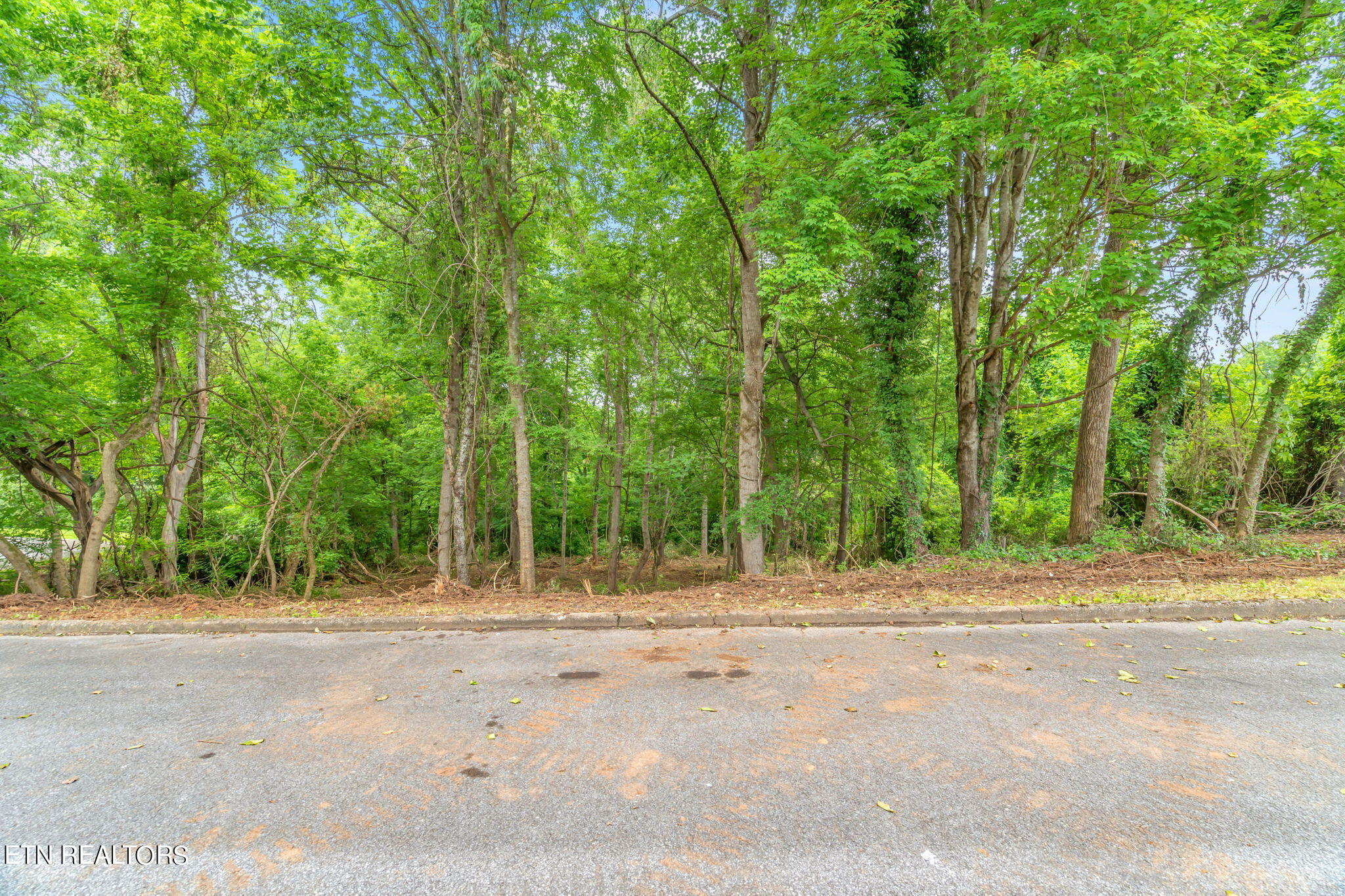 Lot#0051 Orchard Knob Road Clinton, TN 37716 - Photo 6 of 14 4-web-or-mls-Lot 51 Orchard Knob-5