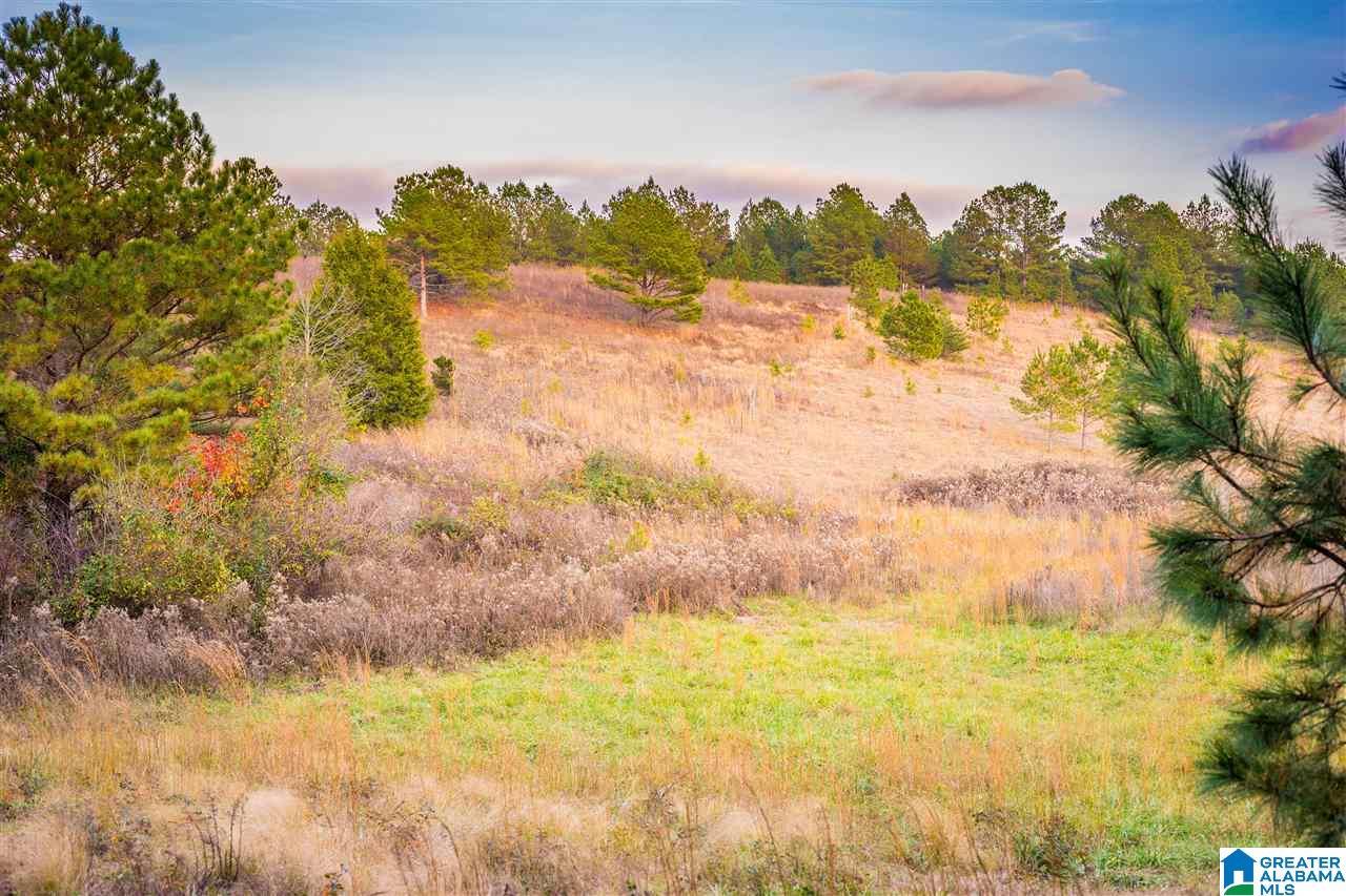 0 Highway 27 Springville Al Springville, AL 35146 - Photo 5 of 12