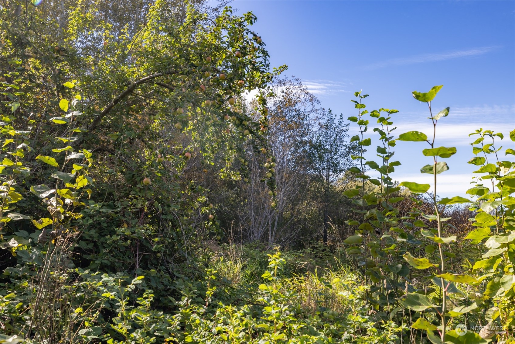 103 Jamestown Road Sequim, WA 98382 - Photo 20 of 38