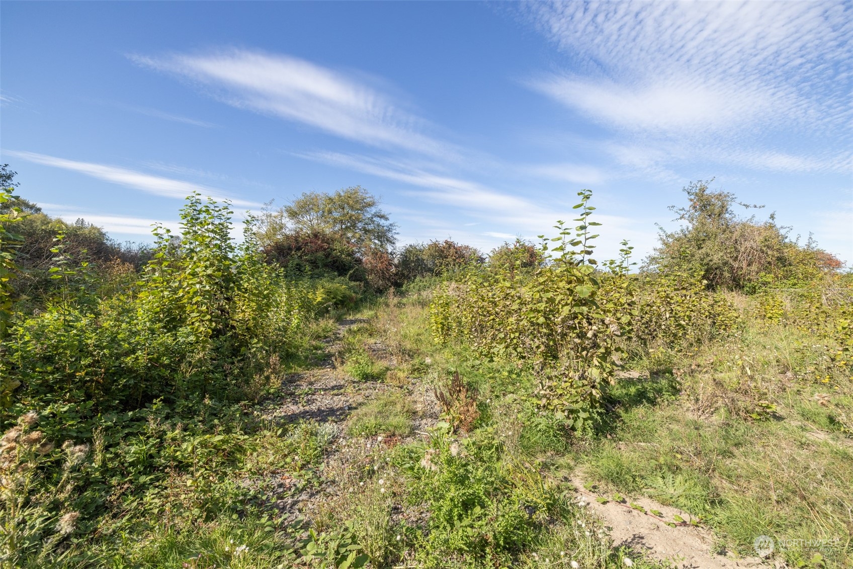 103 Jamestown Road Sequim, WA 98382 - Photo 21 of 38