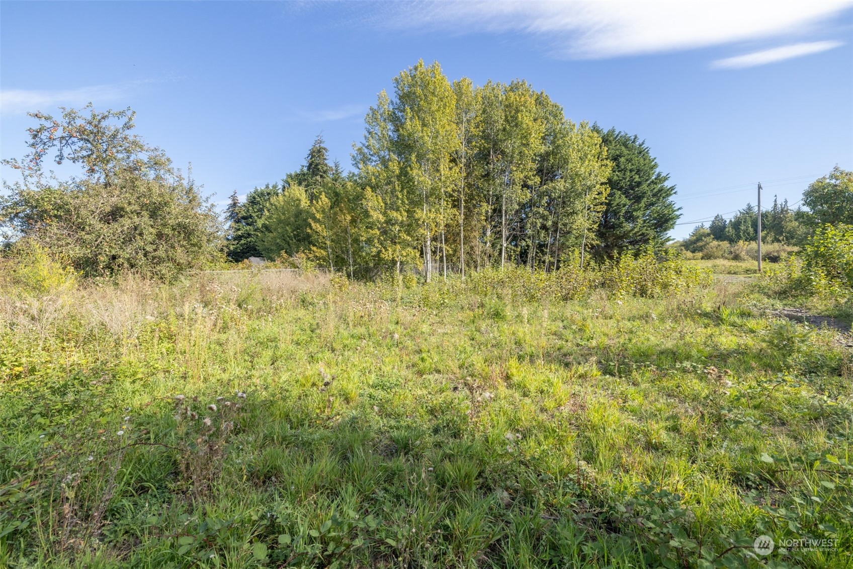 103 Jamestown Road Sequim, WA 98382 - Photo 22 of 38