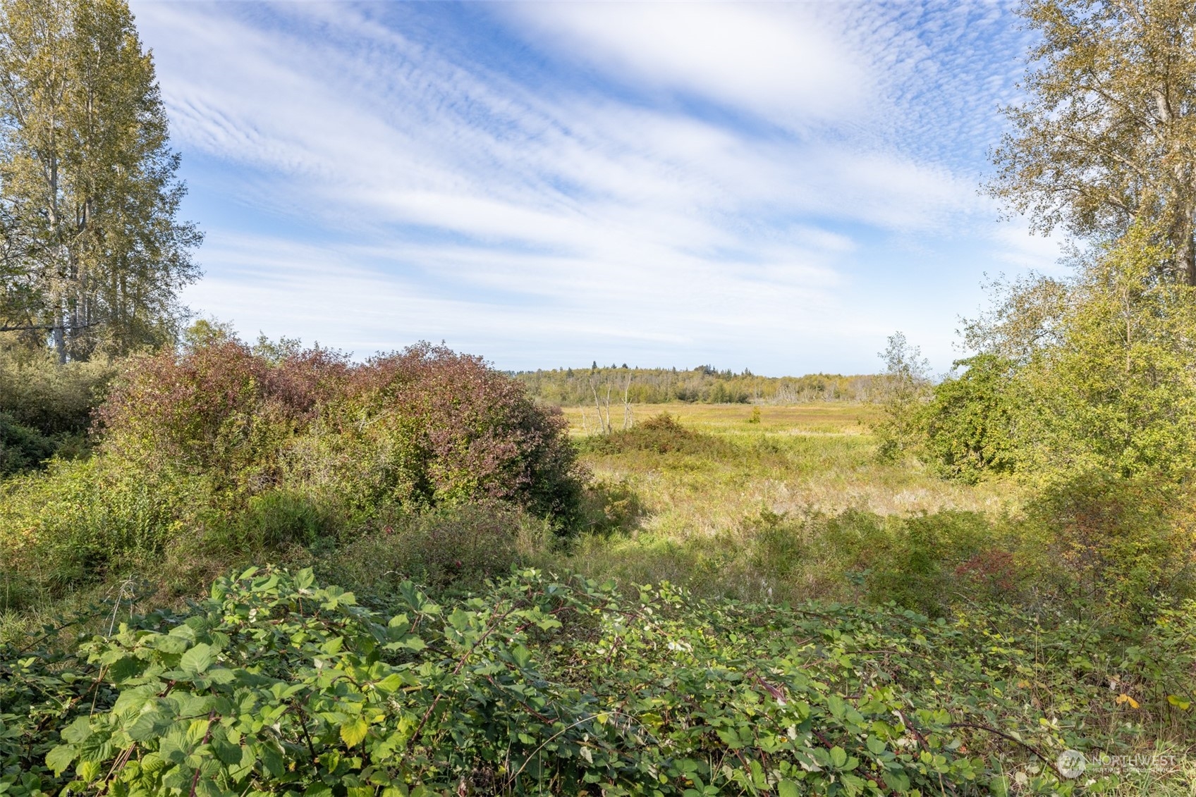 103 Jamestown Road Sequim, WA 98382 - Photo 23 of 38
