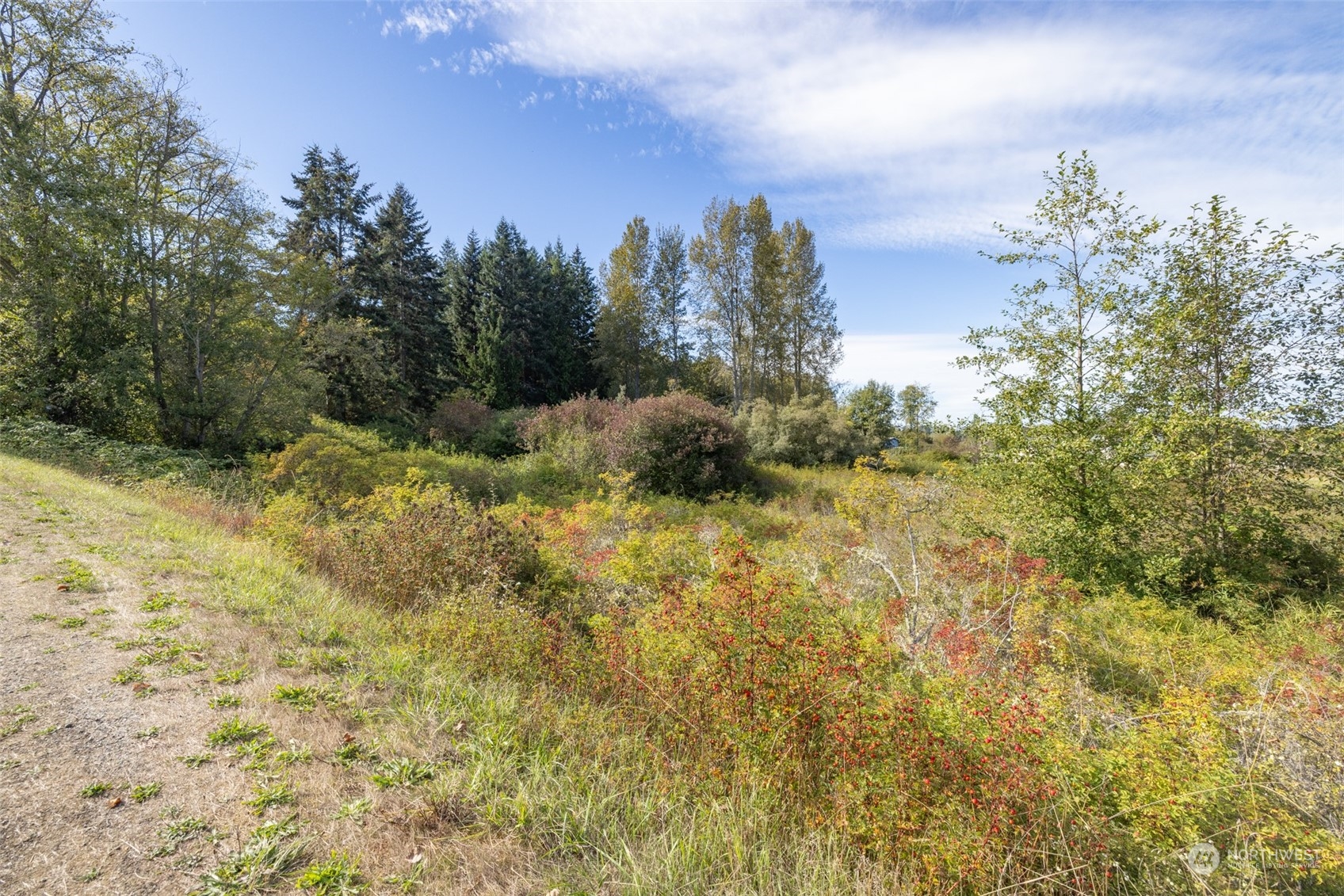 103 Jamestown Road Sequim, WA 98382 - Photo 24 of 38