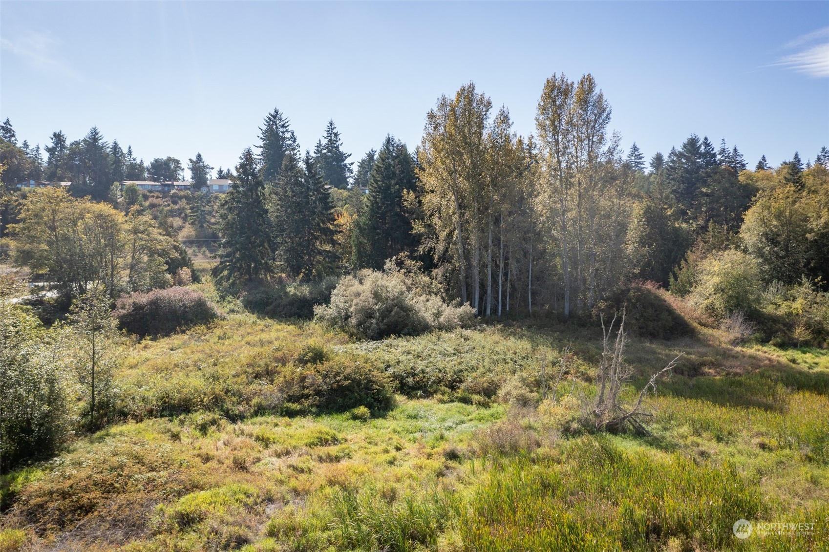 103 Jamestown Road Sequim, WA 98382 - Photo 34 of 38