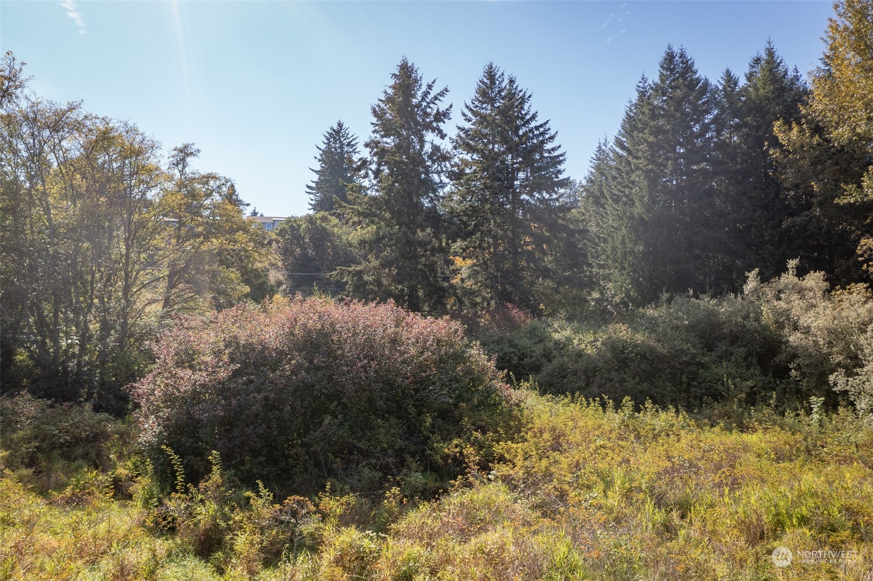 103 Jamestown Road Sequim, WA 98382 - Photo 36 of 38