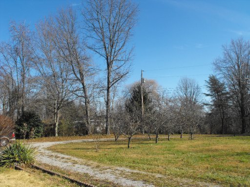 1951 Never Fail Road Sparta, TN 38583 - Photo 3 of 15 Additional Photo