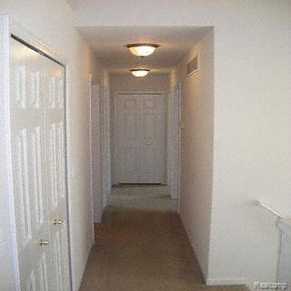 280 Dundee Ridge Drive Dundee, MI 48131 - Photo 5 of 11 HALLWAY