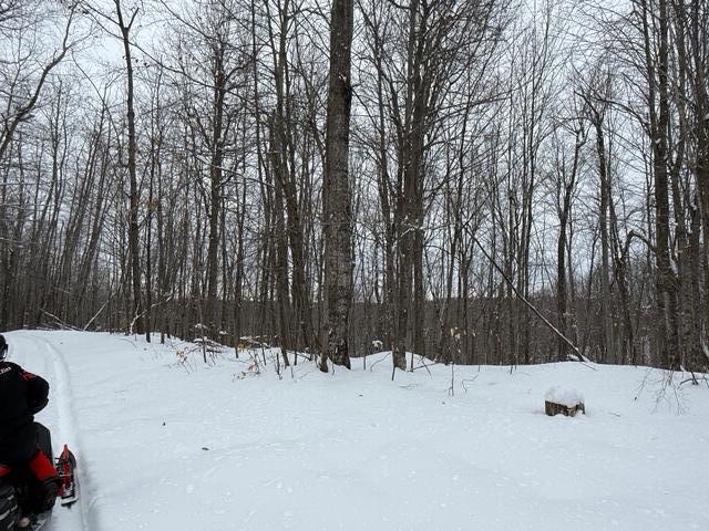 8453-8455 White Road Indian River, MI 49749 - Photo 52 of 56 IMG_2509