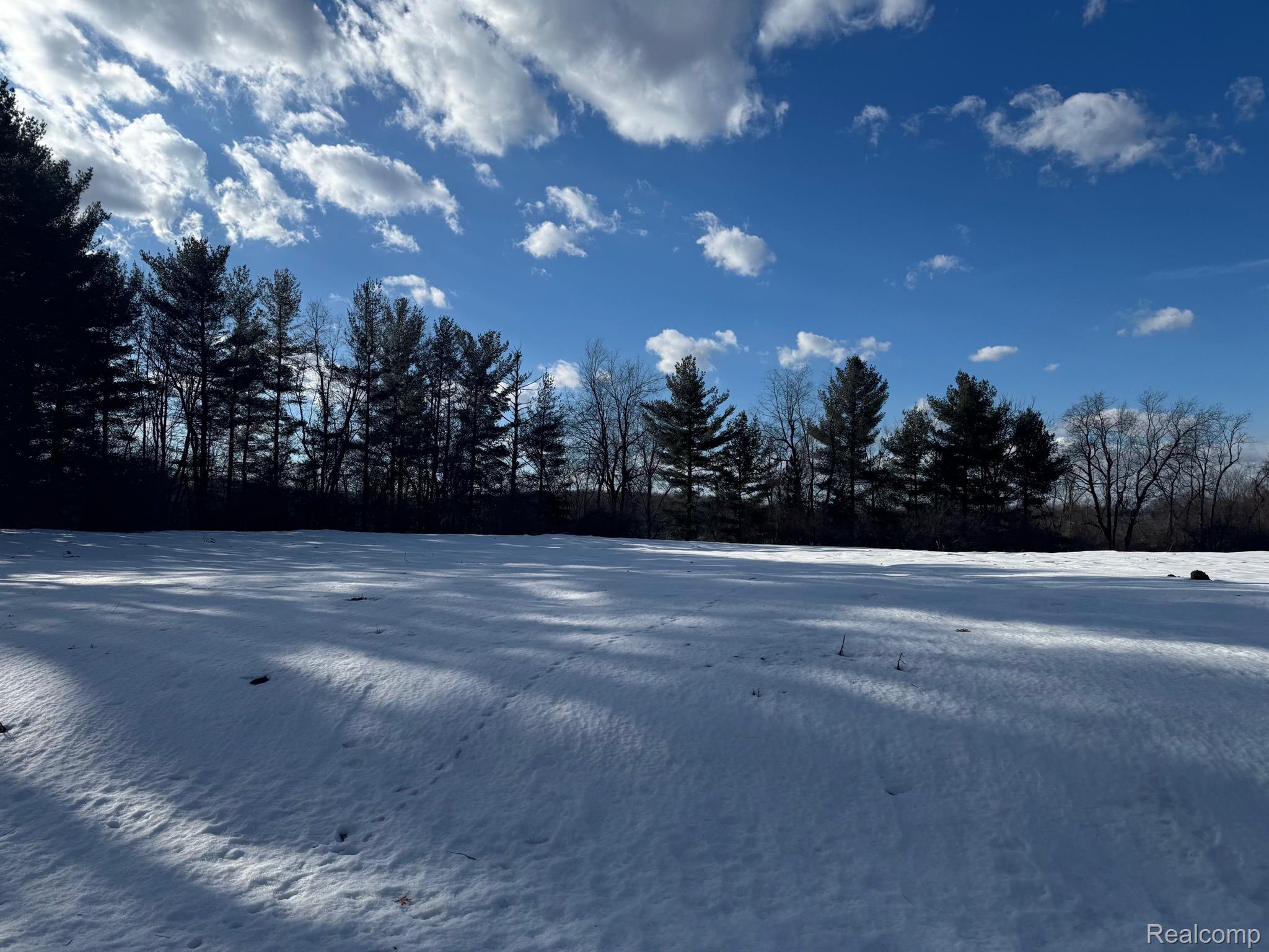 4040 Metamora Ridge Road Metamora, MI 48455 - Photo 2 of 3