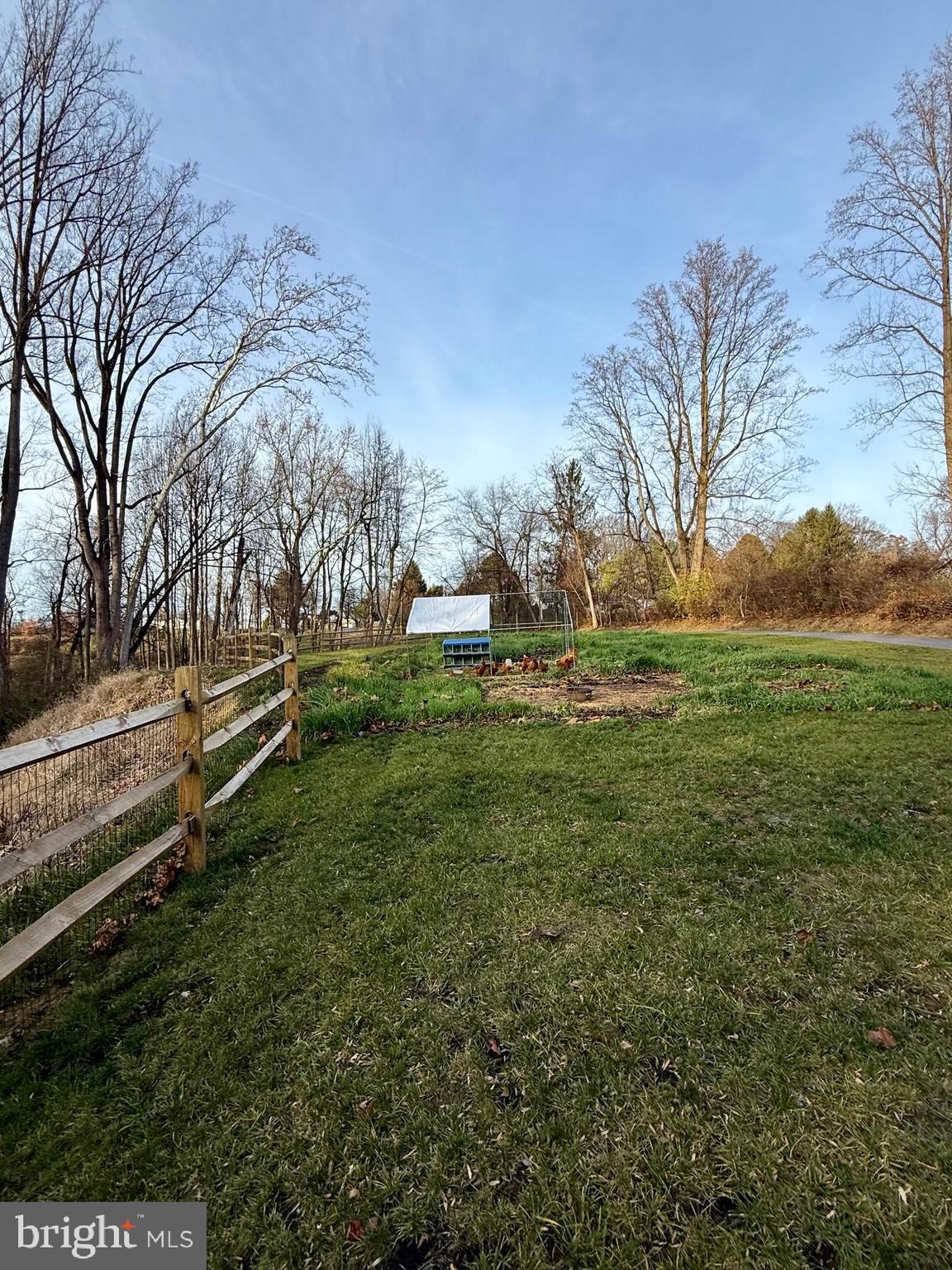 236 Fremont Road Nottingham, PA 19362 - Photo 11 of 34 a backyard of a house with lots of green space