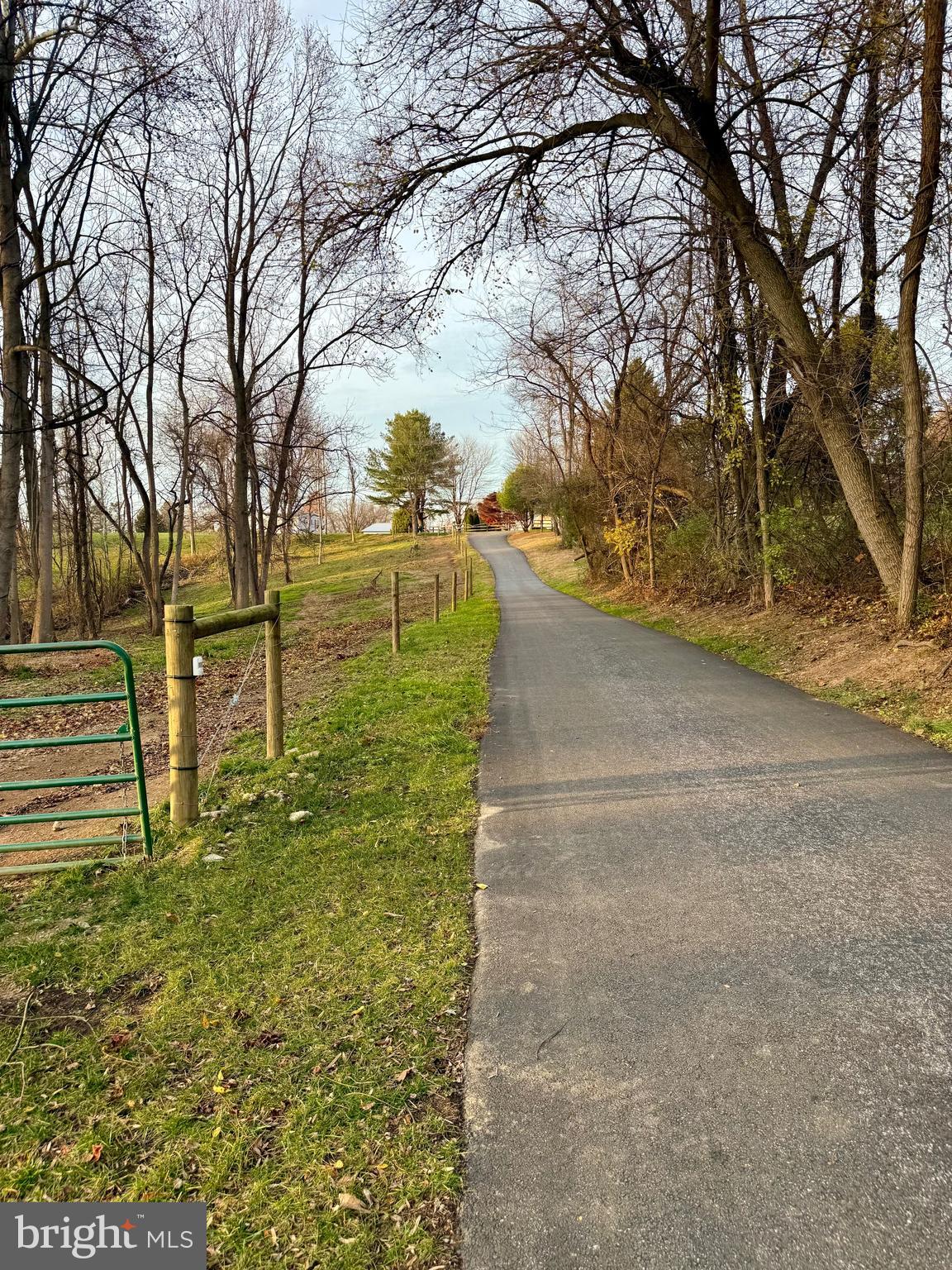 236 Fremont Road Nottingham, PA 19362 - Photo 12 of 34 a view of yard with tree in the background