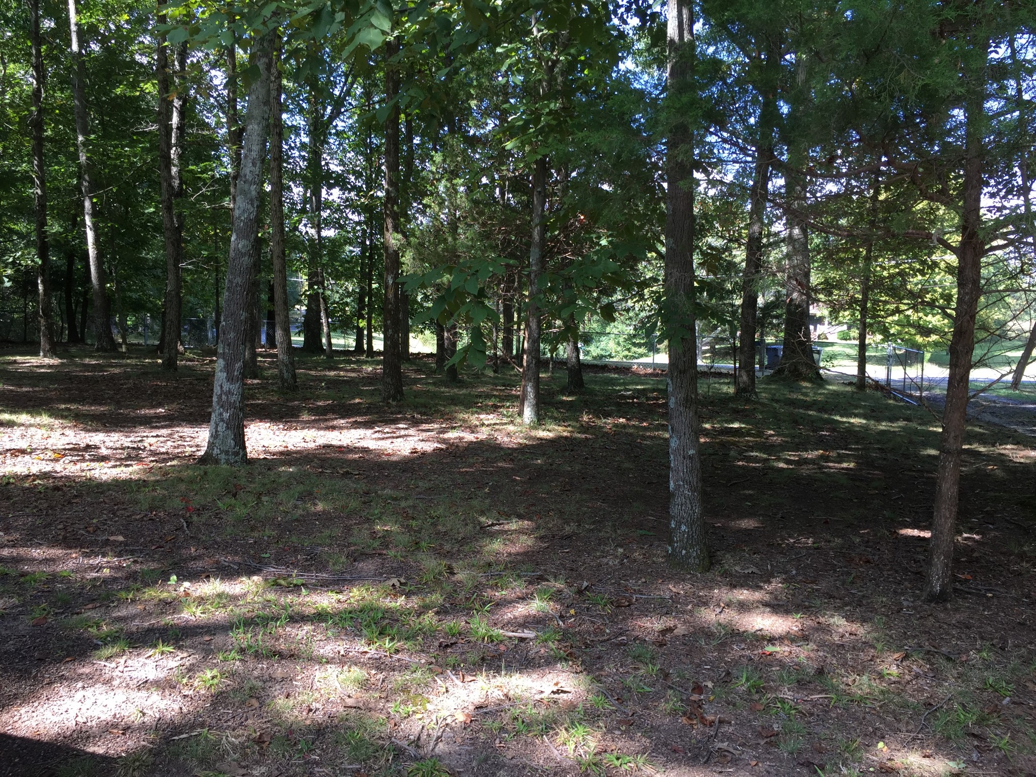 3468 Greer Road Goodlettsville, TN 37072 - Photo 3 of 16 Gallery Image 3