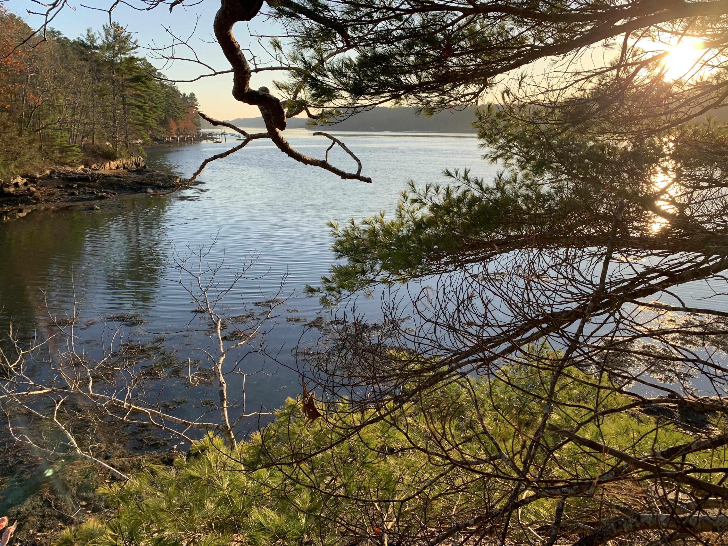 351 Cross Point Road Edgecomb, ME 04556 - Photo 20 of 47 IMG_1676