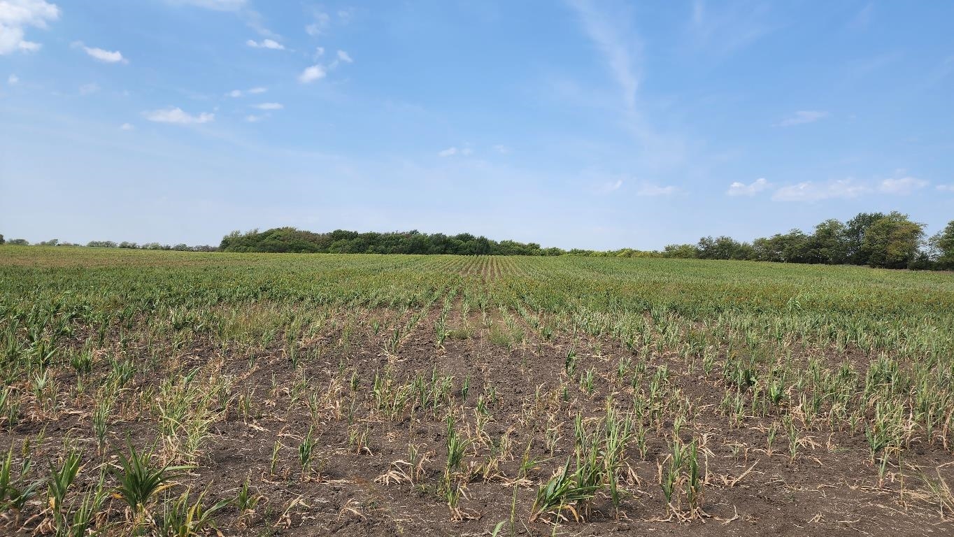 0 South 159th Street East Mulvane, KS 67110 - Photo 2 of 4