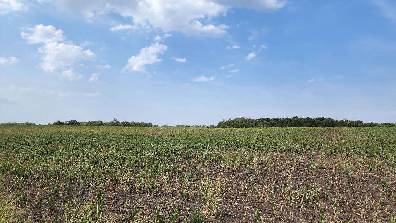 0 South 159th Street East Mulvane, KS 67110 - Photo 3 of 4